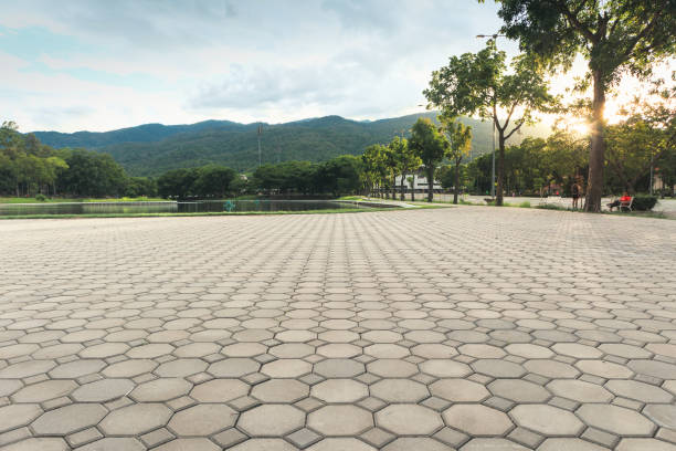Best Best Driveway Pavers  in St Francis, MN